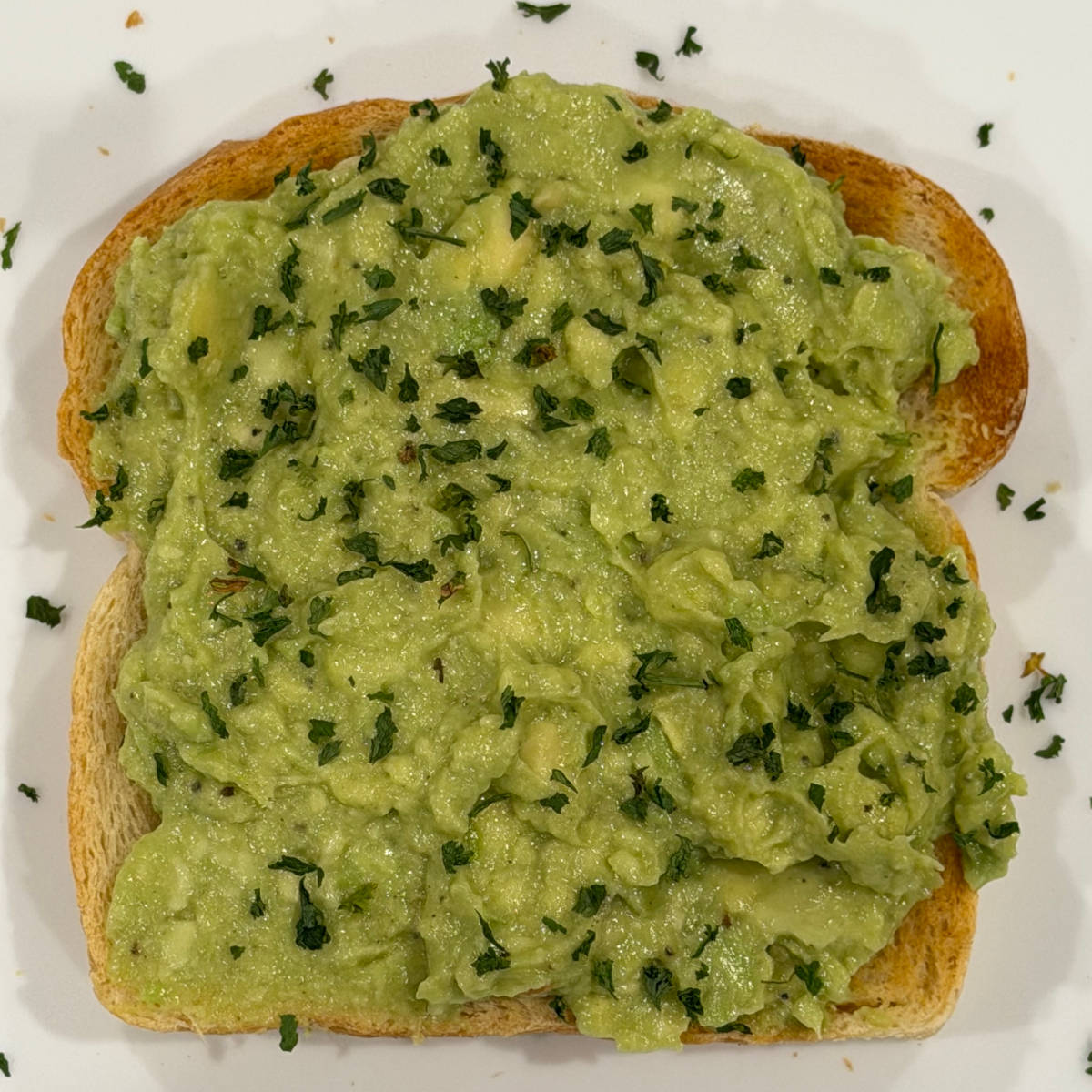 Avocado Toast